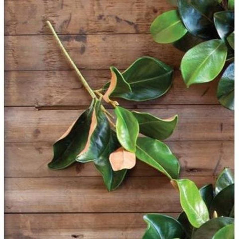 Plantation Magnolia Stem - Greenery